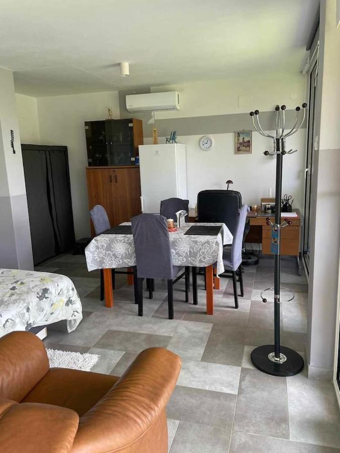 Appartement Eagle'S Nest à Rijeka Extérieur photo