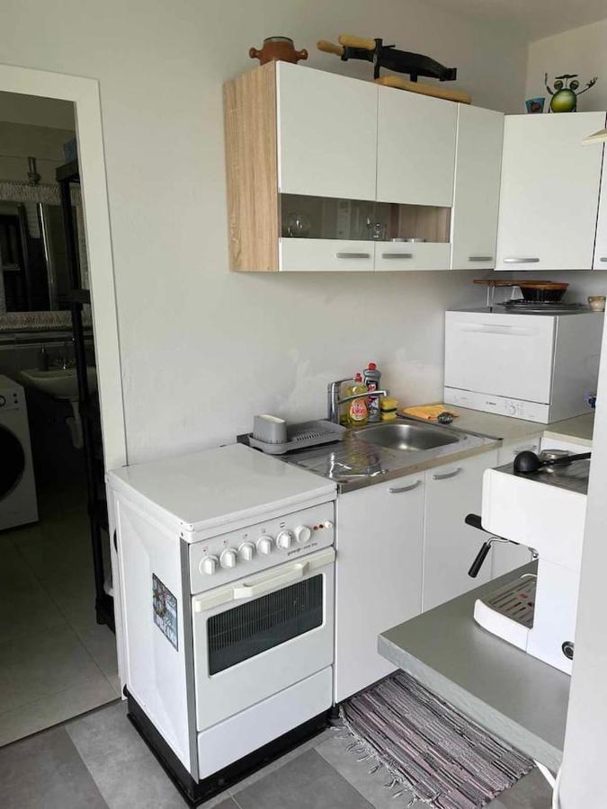 Appartement Eagle'S Nest à Rijeka Extérieur photo
